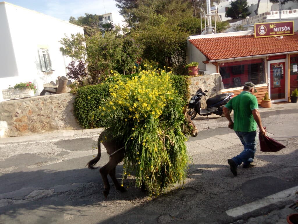 aroma kambos, patmos